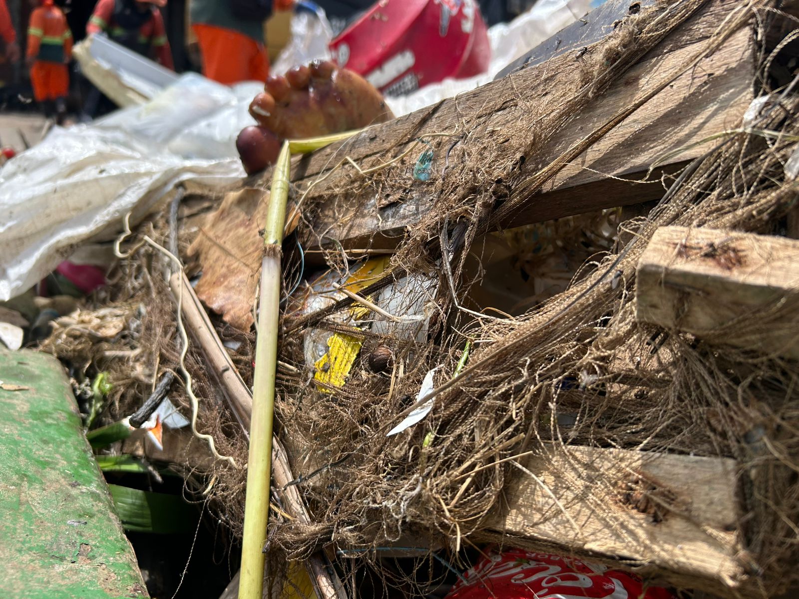 Perna estava em decomposi&ccedil;&atilde;o - Foto: Jander Robson/Portal do Holanda