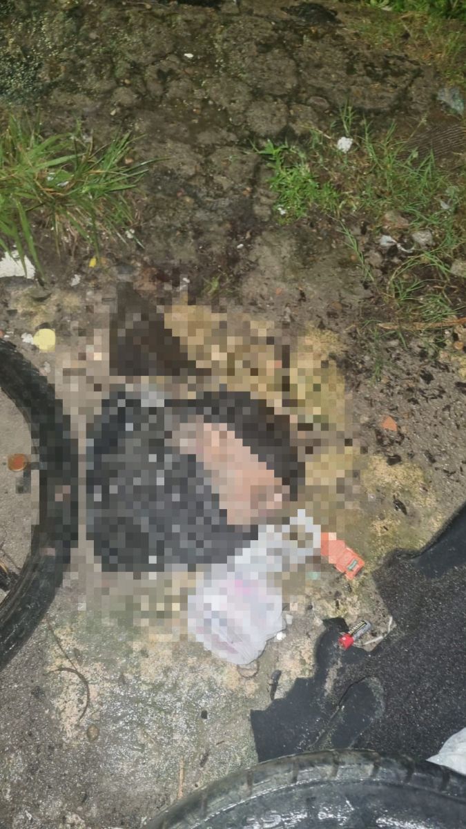 Foto: Divulga&ccedil;&atilde;o