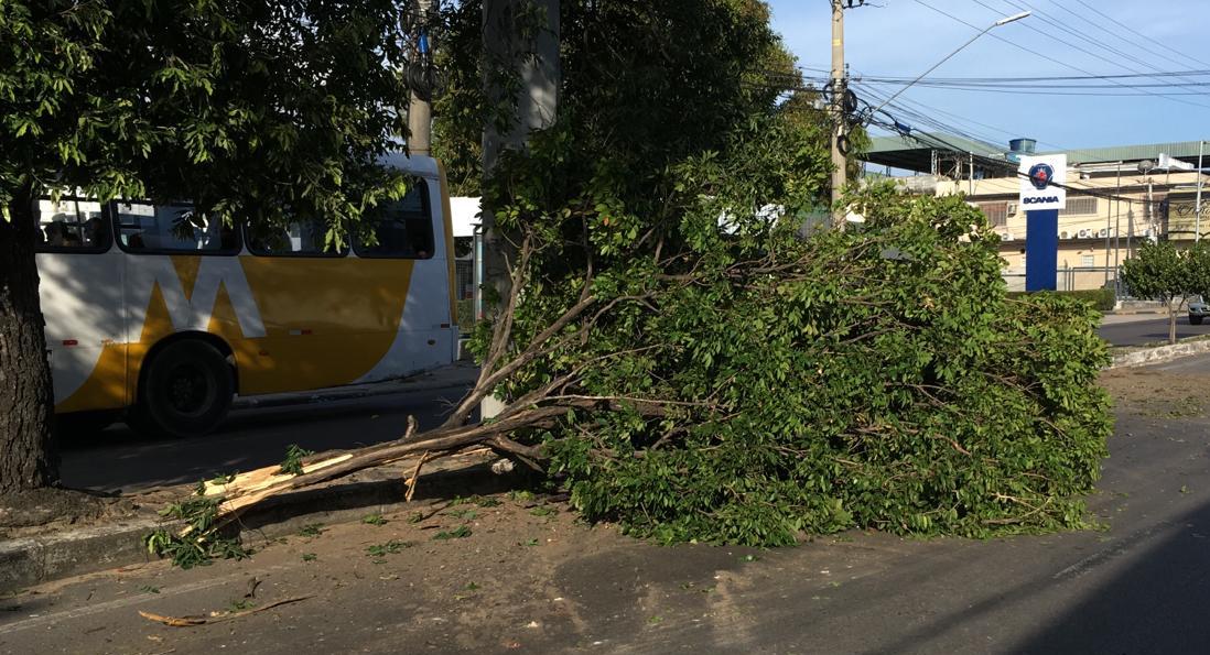 Acidente em avenida de Manaus - Foto: Caio Guarlotte / Portal do Holanda