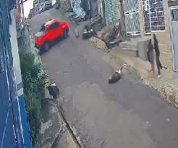 Divulga&ccedil;&atilde;o