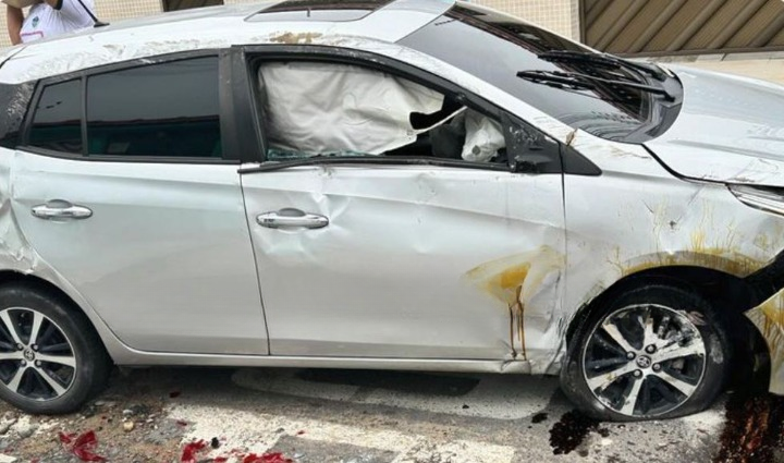 Foto: Divulga&ccedil;&atilde;o