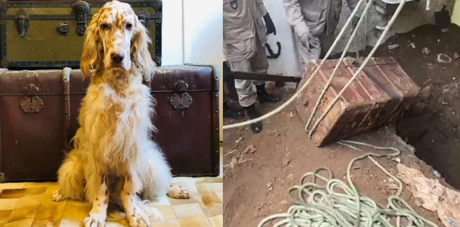 Ba&uacute; onde corpo foi encontrado foi retirado da casa do ator. 