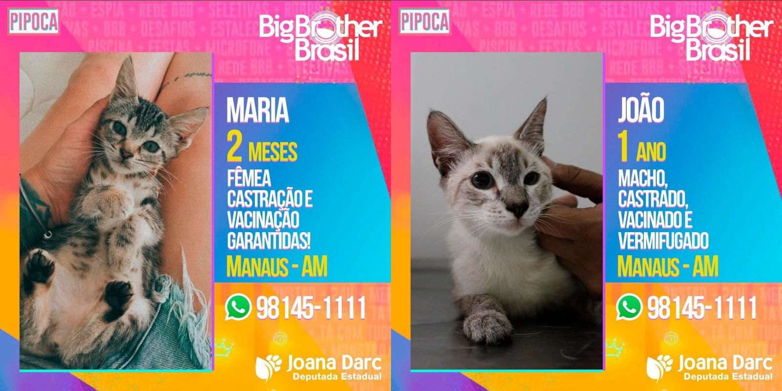 Foto: Divulga&ccedil;&atilde;o 