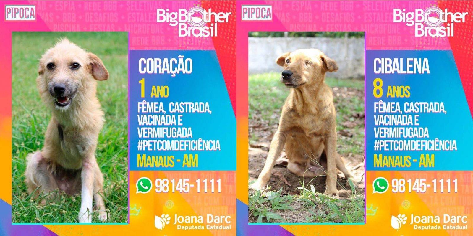 Foto: Divulga&ccedil;&atilde;o 