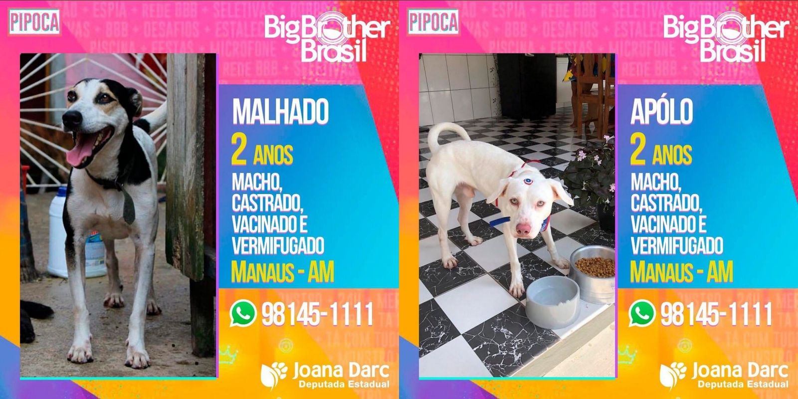 Foto: Divulga&ccedil;&atilde;o