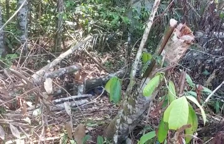 Foto: Divulga&ccedil;&atilde;o