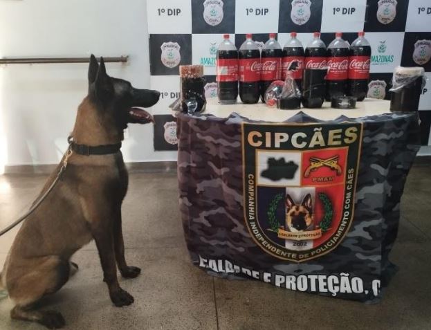 Foto: Divulga&ccedil;&atilde;o 