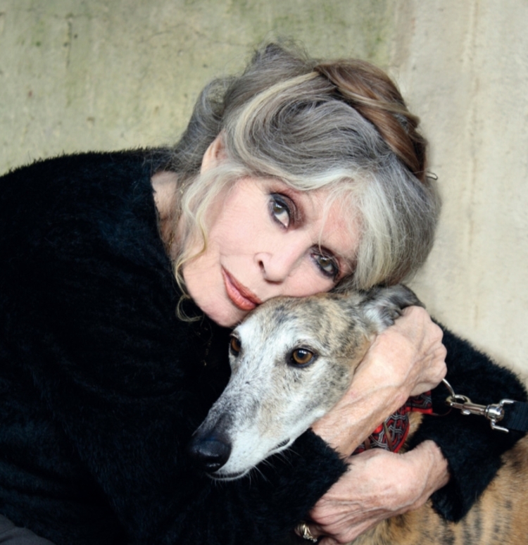 Foto: Reprodu&ccedil;&atilde;o/Instagram @fondationbrigittebardot