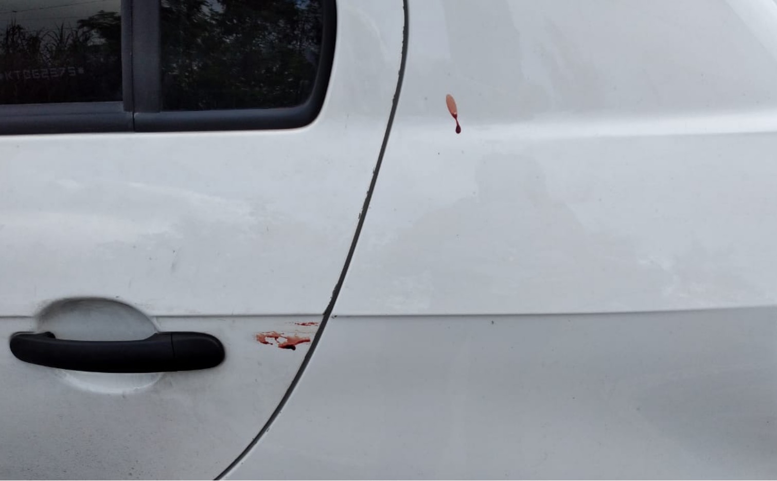 Foto: Jander Robson/Portal do Holanda