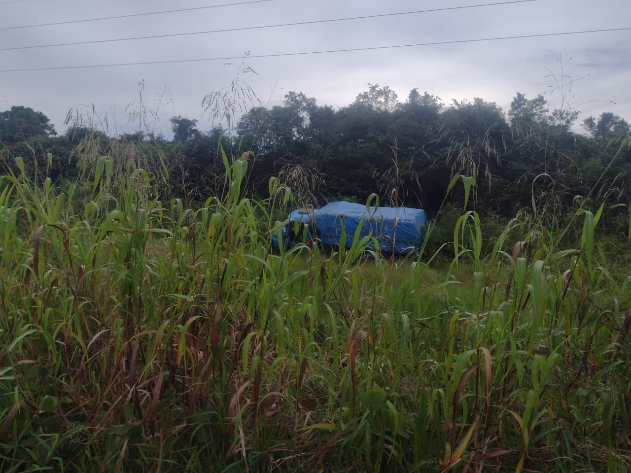 Foto: Divulga&ccedil;&atilde;o