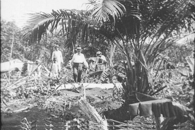 Foto: Divulga&ccedil;&atilde;o / Secretaria de Estado de Cultura e Economia Criativa