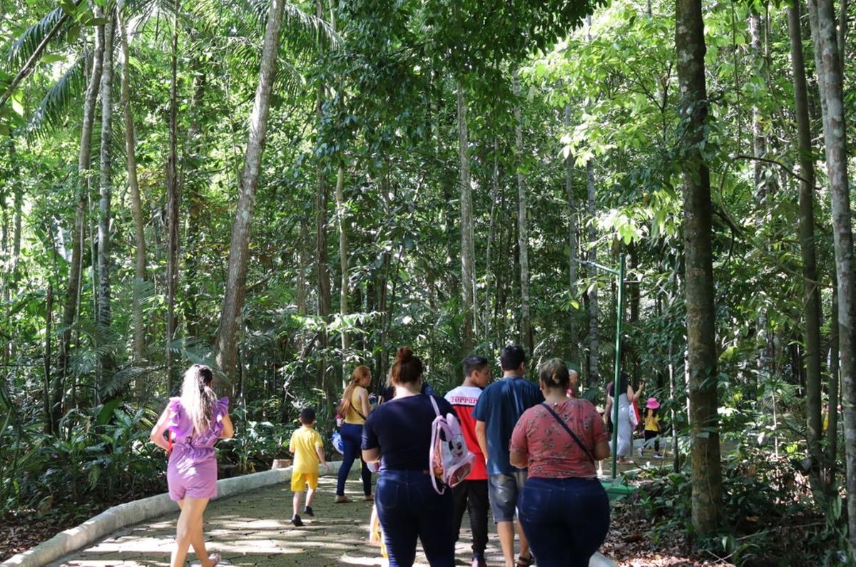 Foto: Caroline Rocha /Inpa