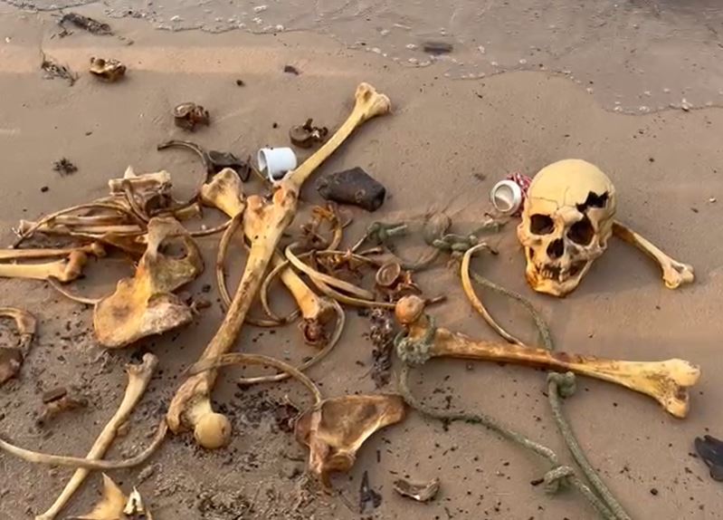 Foto: Divulga&ccedil;&atilde;o