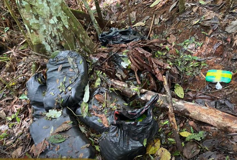 Foto: Divulga&ccedil;&atilde;o