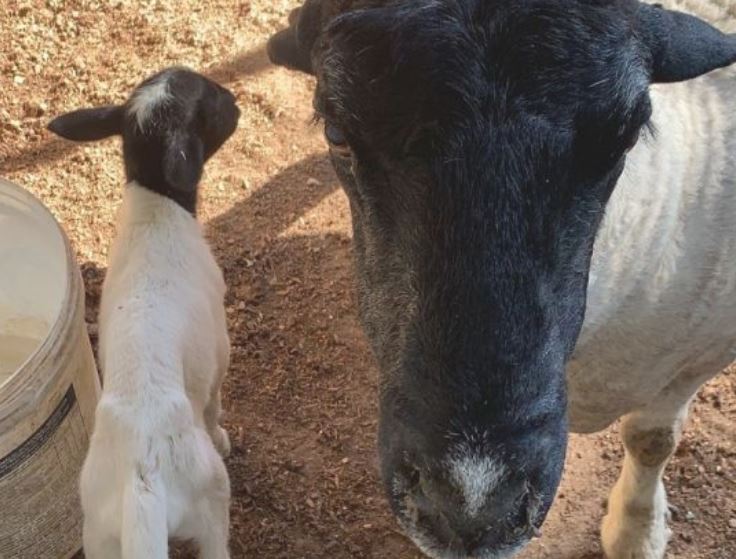 Foto: Divulga&ccedil;&atilde;o