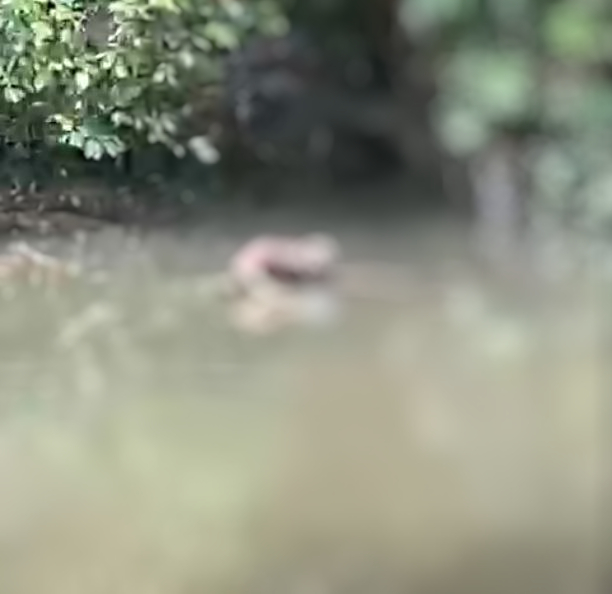 Foto: Divulga&ccedil;&atilde;o 