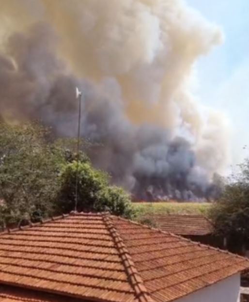 Foto: Reprodu&ccedil;&atilde;o/Redes Sociais