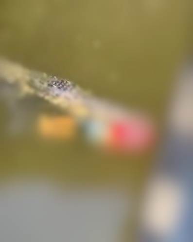 Foto: Reprodu&ccedil;&atilde;o/Twitter 