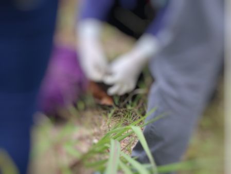 Justiceiro atirou na cabe&ccedil;a - Foto: Jander Robsom/Portal do Holanda