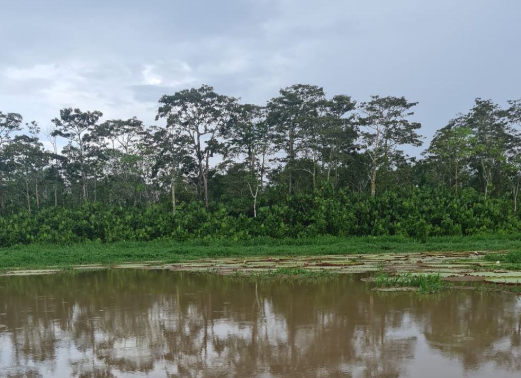 Ilhota pr&oacute;xima a Tonantins - Foto: Divulga&ccedil;&atilde;o PM