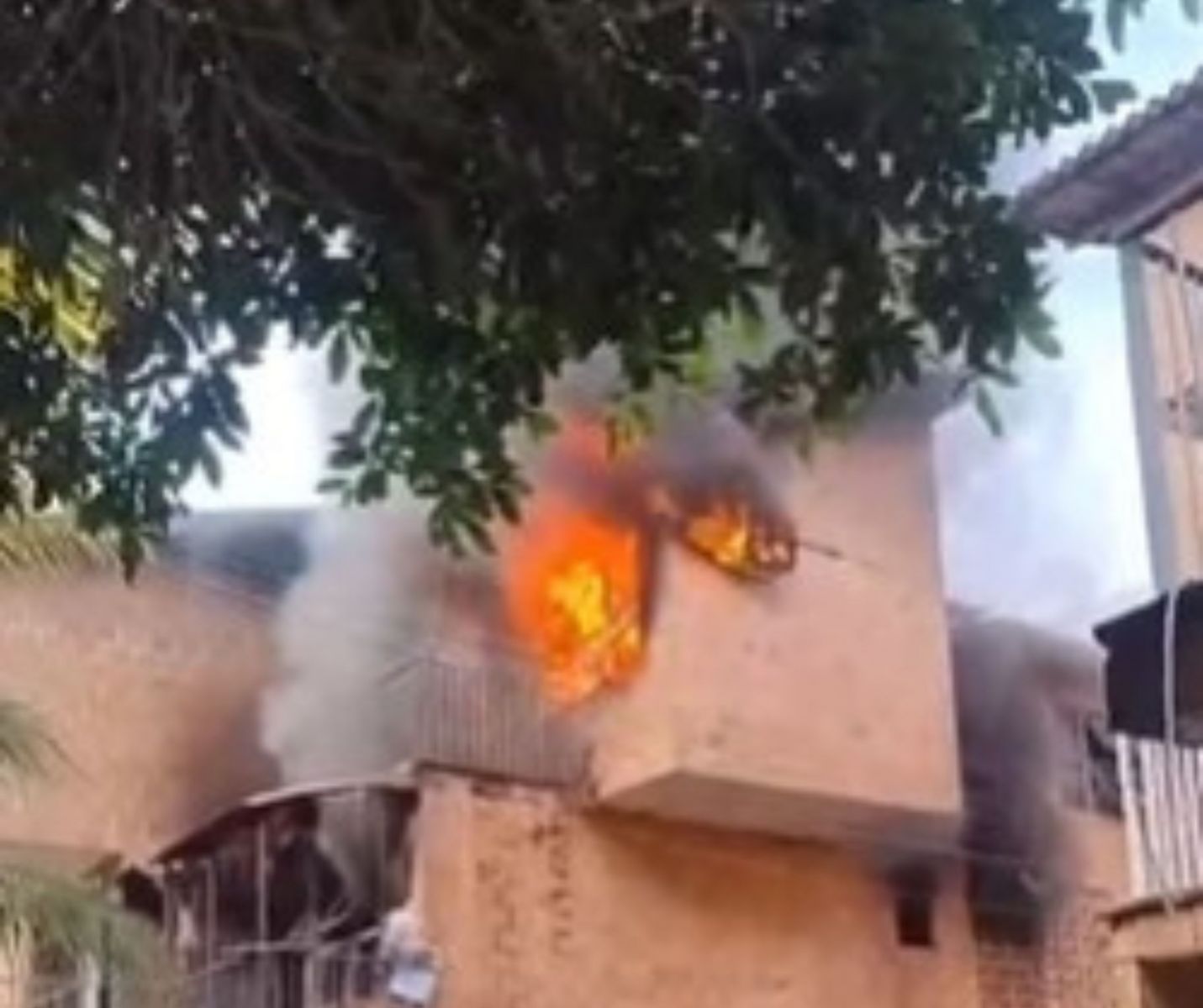 Foto: Reprodu&ccedil;&atilde;o