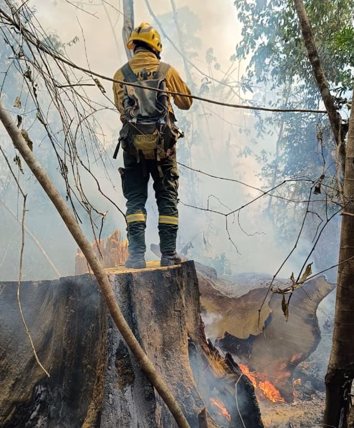 Foto: Divulga&ccedil;&atilde;o