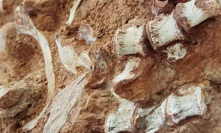 Foto: Divulga&ccedil;&atilde;o/Cappa - Rodrigo Temp M&uuml;ller