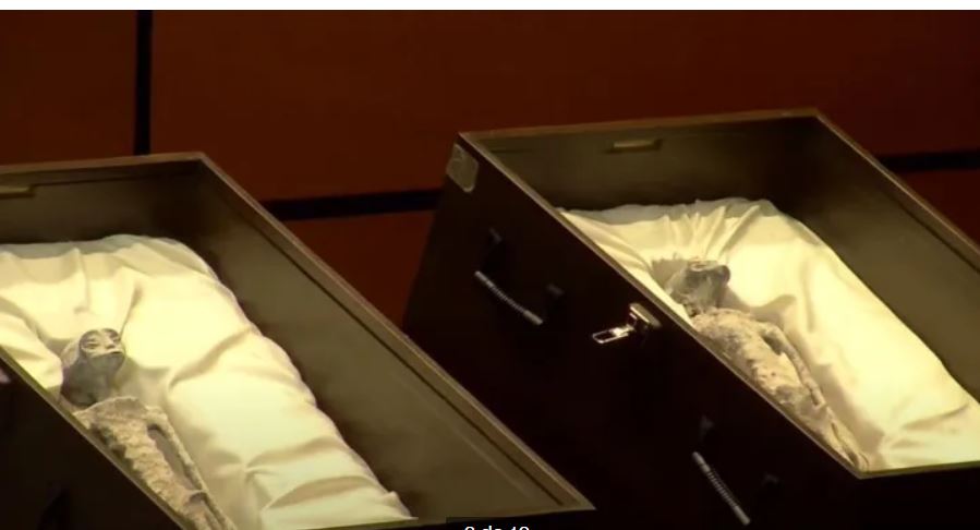 Foto: Divulga&ccedil;&atilde;o