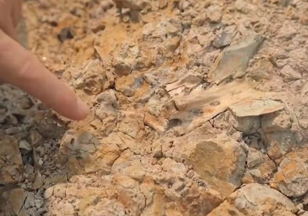 F&oacute;sseis encontrados - Reprodu&ccedil;&atilde;o: Rede Amaz&ocirc;nica