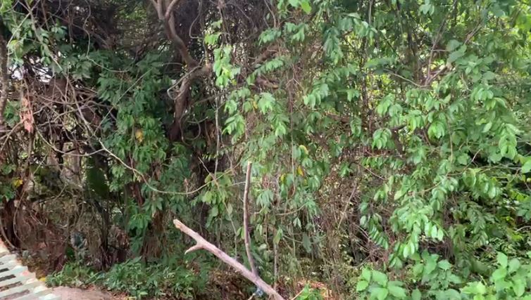 Corpo estava na &aacute;rea de mata onde houve a abordagem policial