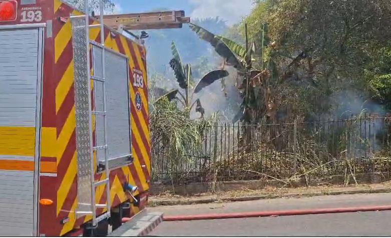 Foto: Divulga&ccedil;&atilde;o