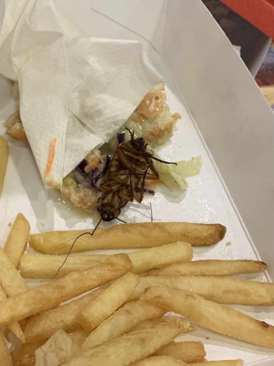 Foto: Reprodu&ccedil;&atilde;o/Twitter/J&uacute;lia Penha