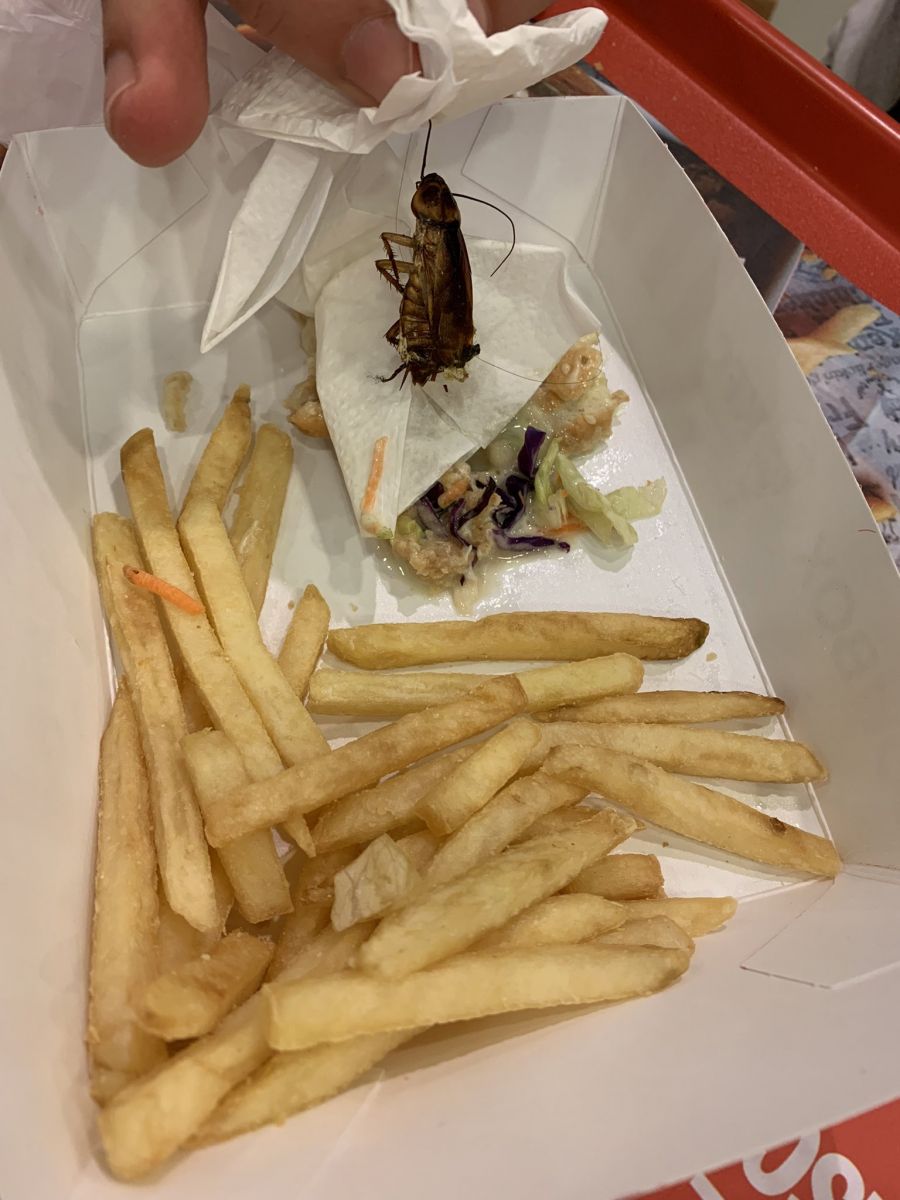 Foto: Reprodu&ccedil;&atilde;o/Twitter/J&uacute;lia Penha