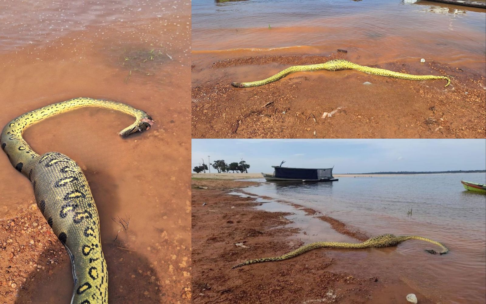 Foto: Reprodu&ccedil;&atilde;o Facebook