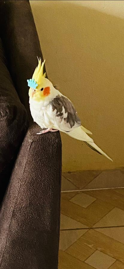 Foto: Divulga&ccedil;&atilde;o