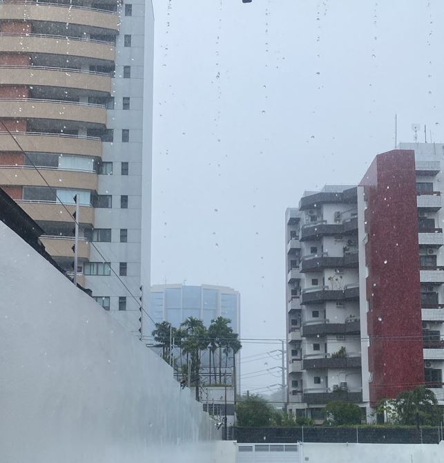 Foto: Portal do Holanda