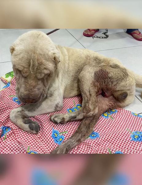 Foto: Divulga&ccedil;&atilde;o