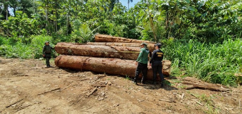 Opera&ccedil;&atilde;o Tamoiotat&aacute; nos munic&iacute;pios do Amazonas - Fotos: Divulga&ccedil;&atilde;o/SSP-AM