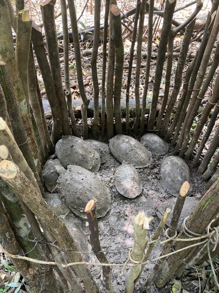 Carga ilegal foi apreendida por Agentes da Base Arp&atilde;o - Foto: Divulga&ccedil;&atilde;o/SSP-AM