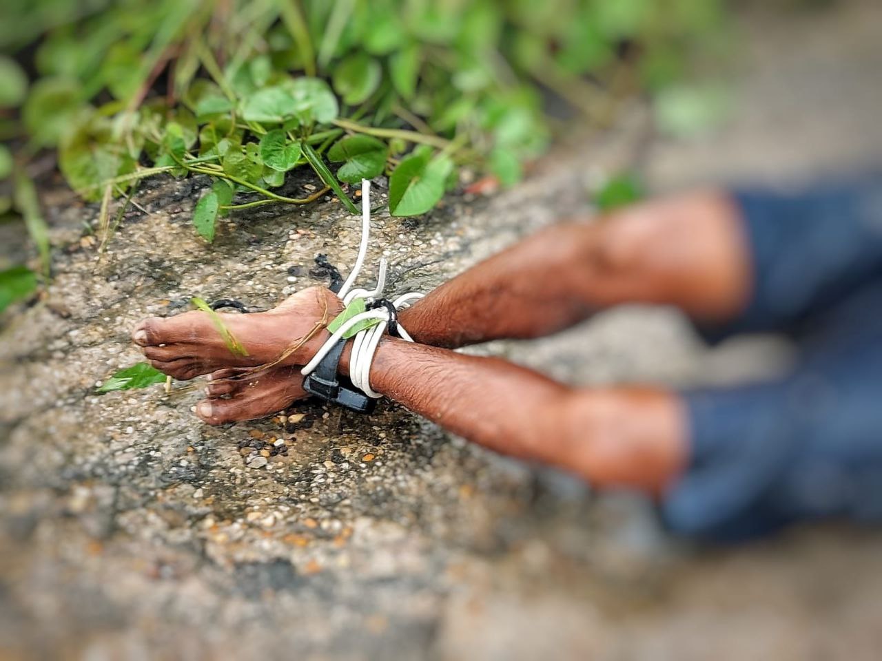 Foto: Jander Robson / Portal do Holanda