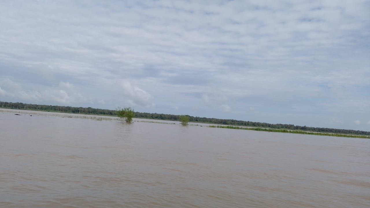 Foto: Divulga&ccedil;&atilde;o