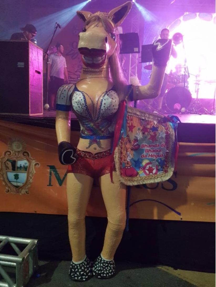 Foto: Arquivo / Portal do Holanda/ Pedro Braga Jr