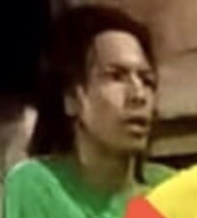 Cachorro - Foto: Divulga&ccedil;&atilde;o