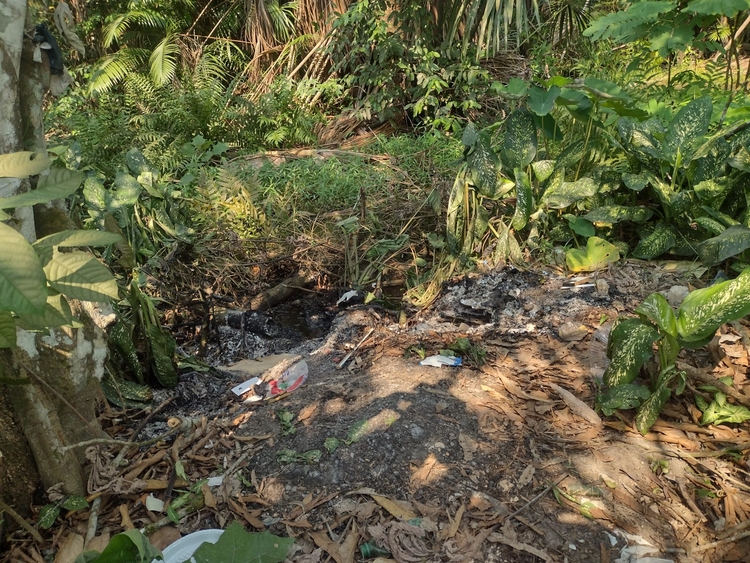 Foto: Jander Robson / Portal do Holanda