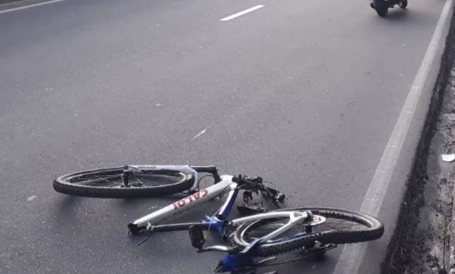 Foto: Divulga&ccedil;&atilde;o/IMMU