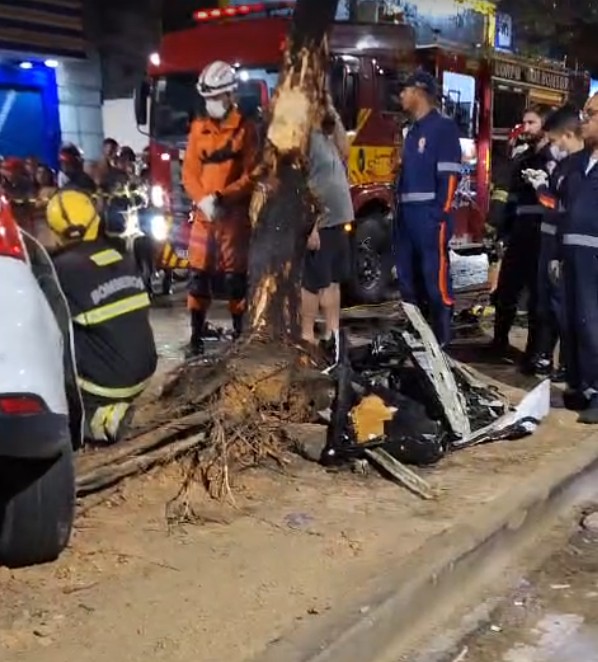 &Aacute;rvore na qual o carro bateu - Foto: Divulga&ccedil;&atilde;o