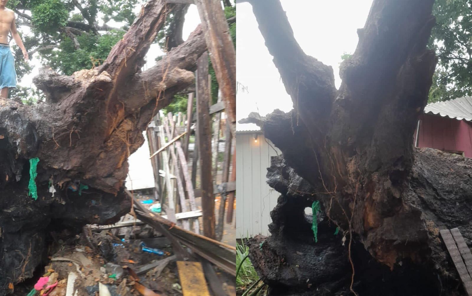 Foto: Reprodu&ccedil;&atilde;o Facebook