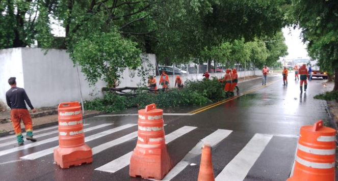 Foto: Divulga&ccedil;&atilde;o IMMU