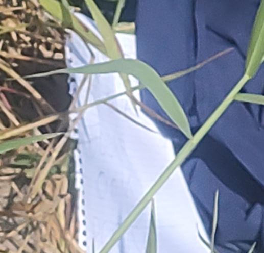 Foto: Divulga&ccedil;&atilde;o