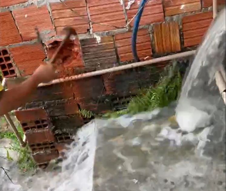 Foto: Divulga&ccedil;&atilde;o